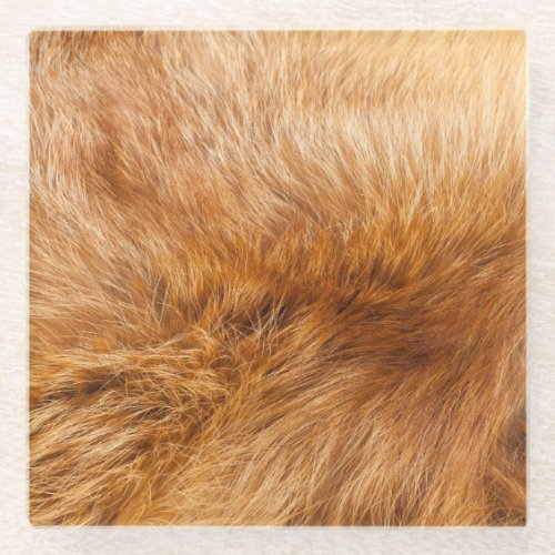 Red Fox Fur Textured Background Glass Coaster