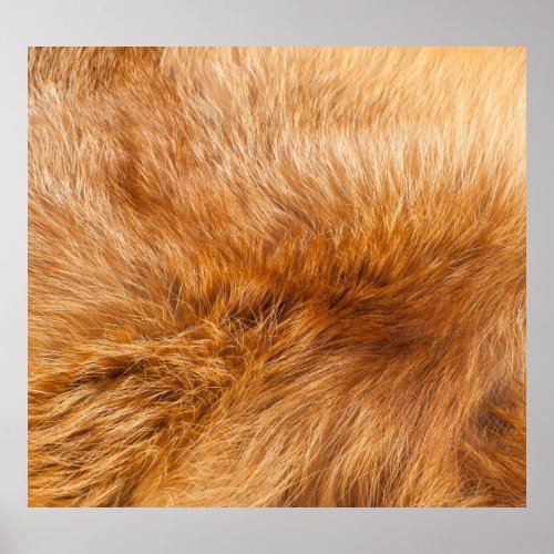 Red Fox Fur Textured Background Poster
