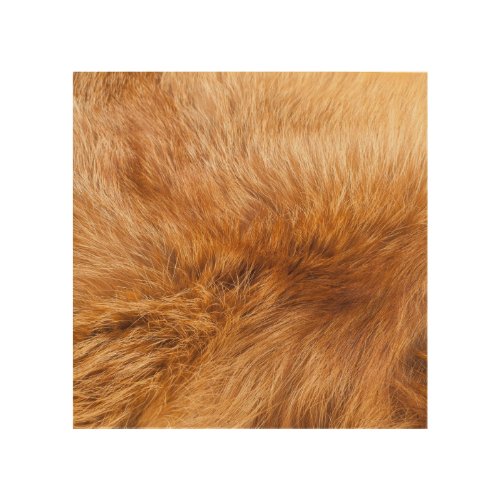 Red Fox Fur Textured Background Wood Wall Art