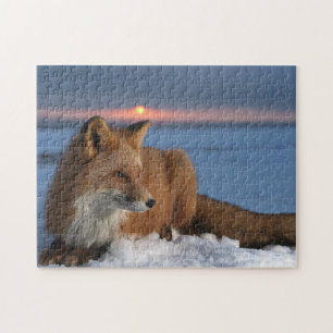 Red Fox Game Puzzle