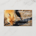 Red Fox Habitat Business Card