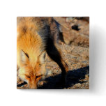 Red Fox Habitat Square Pin