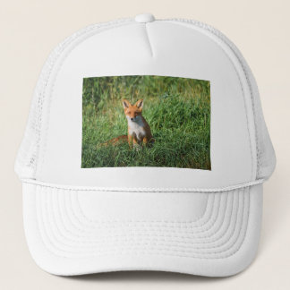 Red fox hat
