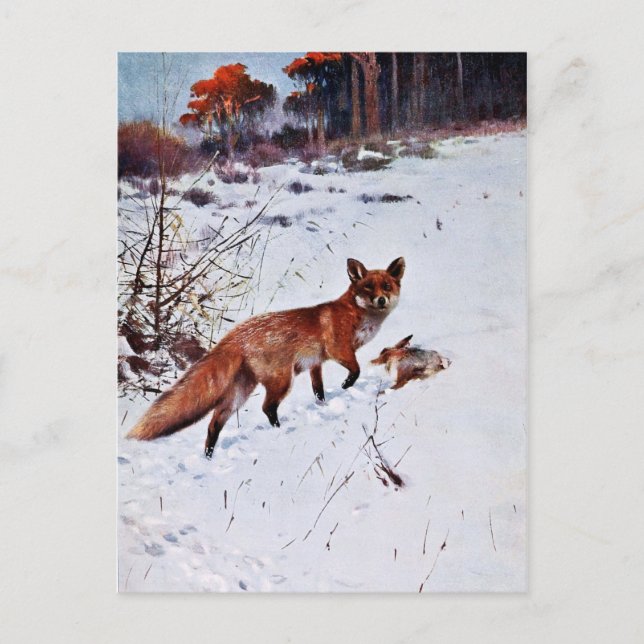 Red Fox Hunting Art Postcard (Front)