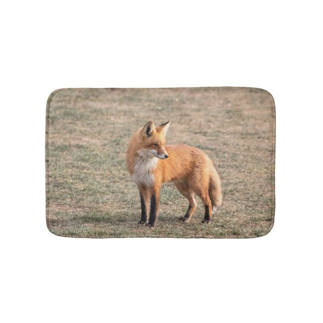 Red Fox in a field Bathroom Mat (Front)