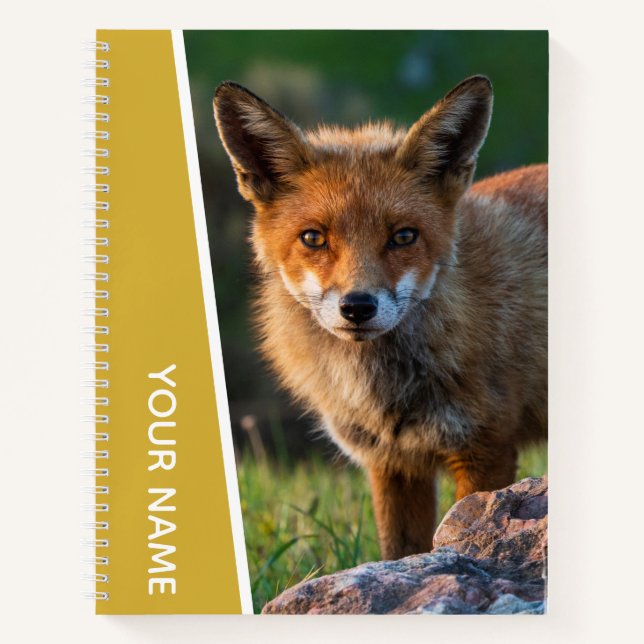 Red Fox in Australia, Gold Notebook (Front)