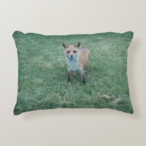 Red fox in California San Jose Accent Pillow