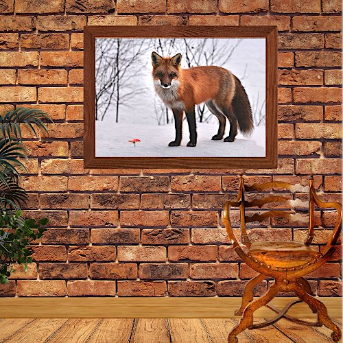 Red Fox in Snow Canvas Print