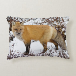 Red Fox in snow in winter Decorative Pillow