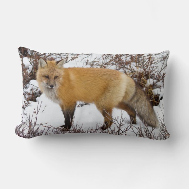 Red Fox in snow in winter Lumbar Pillow (Front)