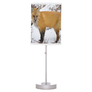 Red Fox in snow in winter Table Lamp