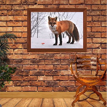 Red Fox In Snow  Poster by DizzyDebbie at Zazzle