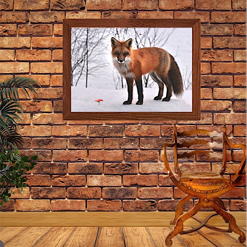 Red Fox in Snow  Poster