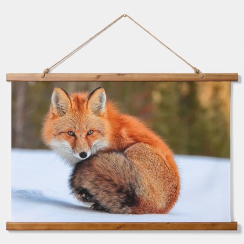 Red Fox In Snow  Yukon Hanging Tapestry