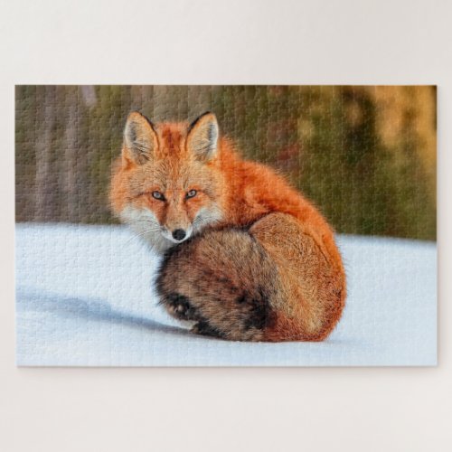 Red Fox In Snow  Yukon Jigsaw Puzzle