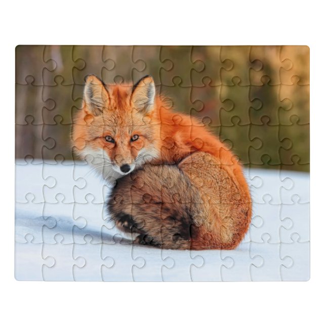 Red Fox In Snow | Yukon Jigsaw Puzzle (Puzzle Horizontal)