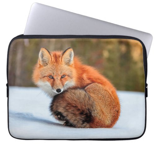 Red Fox In Snow  Yukon Laptop Sleeve