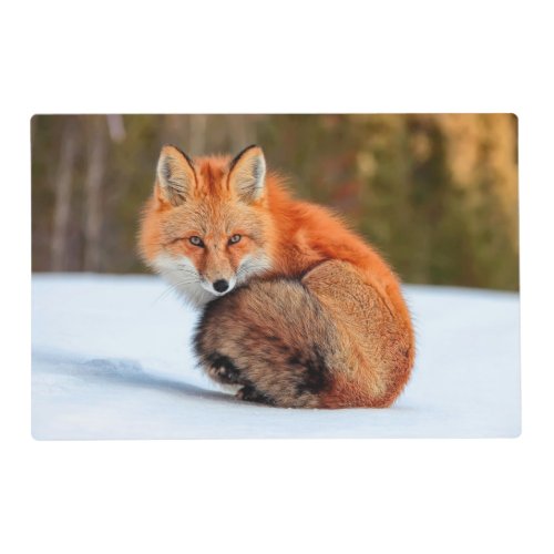 Red Fox In Snow  Yukon Placemat