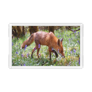 Red Fox in the Bluebells Acrylic Tray