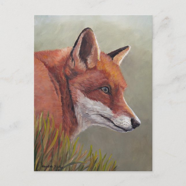 Red Fox in the Grass Animal Art Postcard (Front)