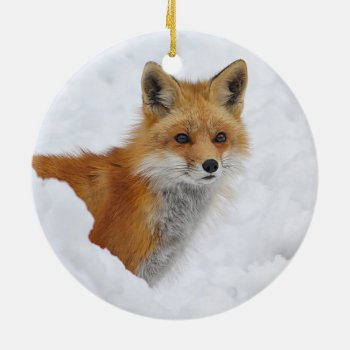 Red Fox In The Snow Ceramic Ornament by backyardwonders at Zazzle