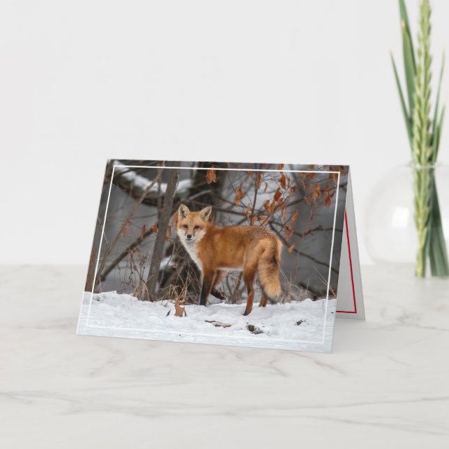 Red Fox in the Snow Holiday Card (Front)