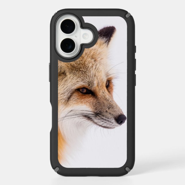 Red Fox in the Snow Speck iPhone Case (Front)