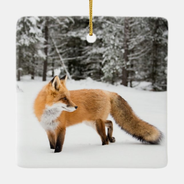 Red Fox in White Snow Ceramic Ornament (Back)