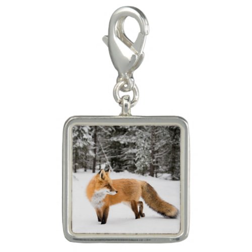 Red Fox in White Snow Charm