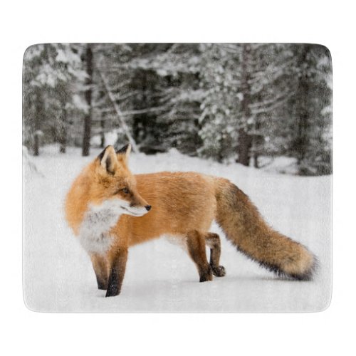 Red Fox in White Snow Cutting Board