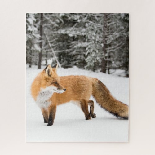 Red Fox in White Snow Jigsaw Puzzle