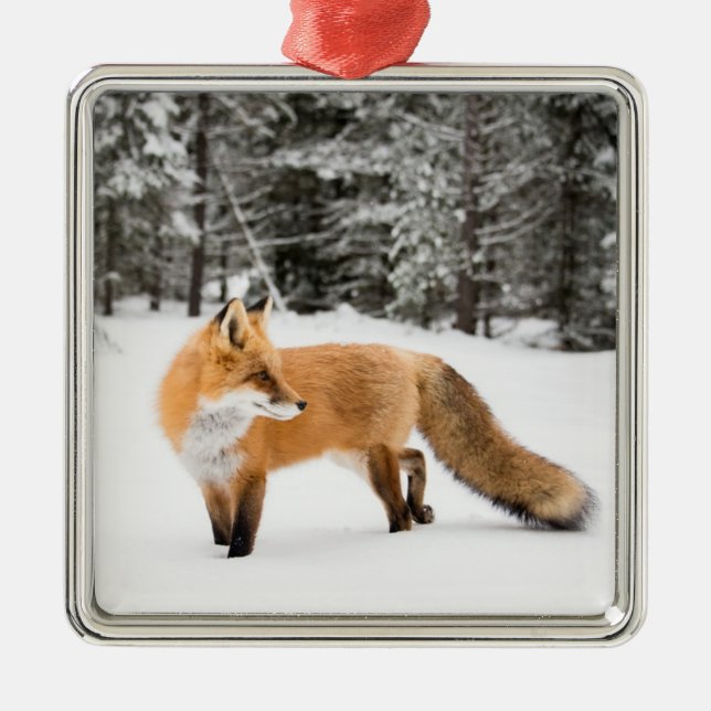 Red Fox in White Snow Metal Ornament (Front)