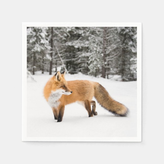 Red Fox in White Snow Napkins (Front)