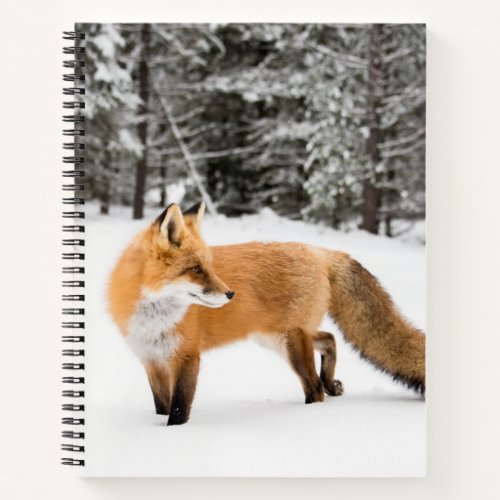 Red Fox in White Snow Notebook