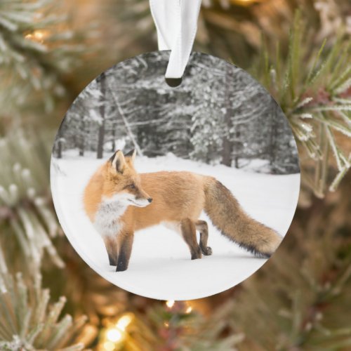 Red Fox in White Snow Ornament