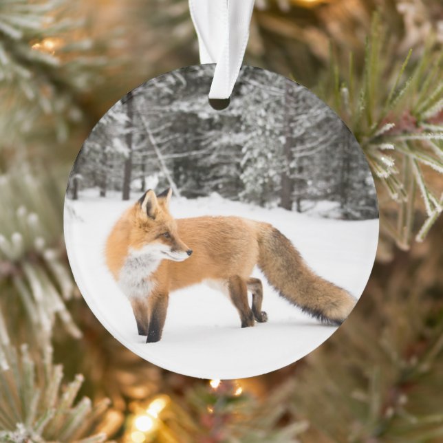 Red Fox in White Snow Ornament (Tree)