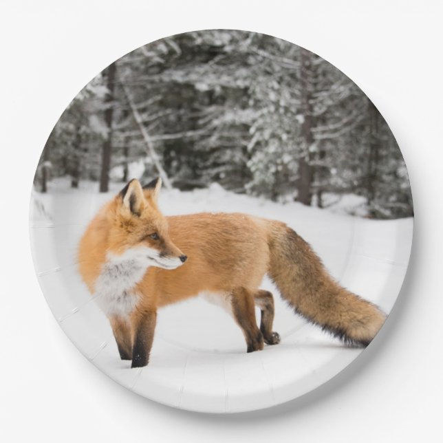 Red Fox in White Snow Paper Plates (Front)