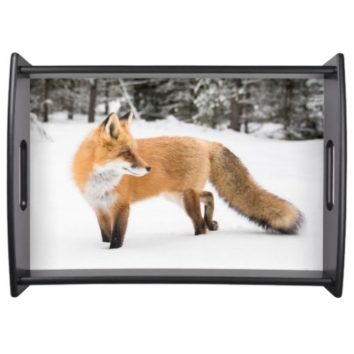 Red Fox in White Snow Serving Tray