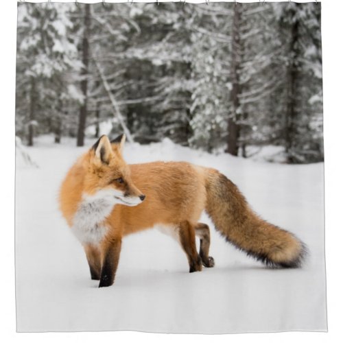 Red Fox in White Snow Shower Curtain