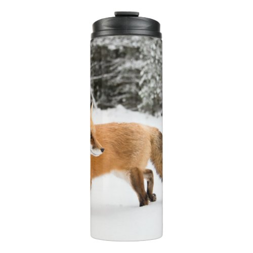 Red Fox in White Snow Thermal Tumbler