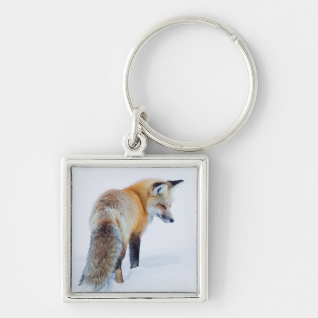 Red Fox in Winter Keychain (Front)