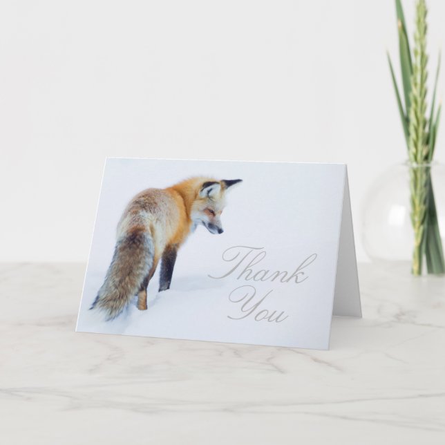 Red Fox in Winter Letterpress Thank You Card (Front)