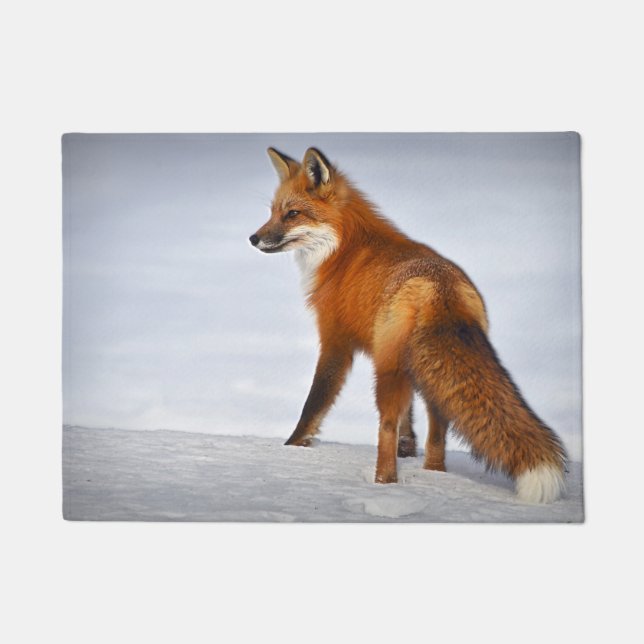 Red Fox in Winter Snow Doormat (Front)