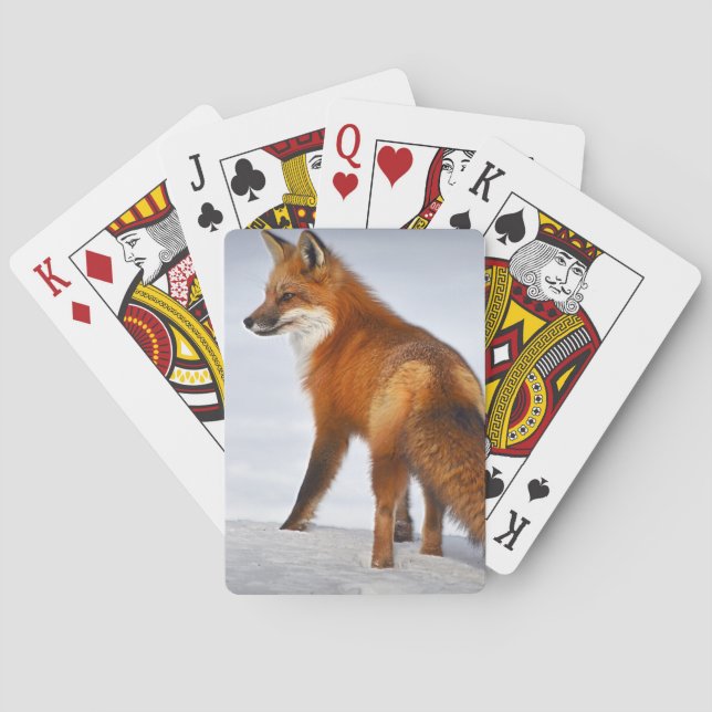 Red Fox in Winter Snow Poker Cards (Back)