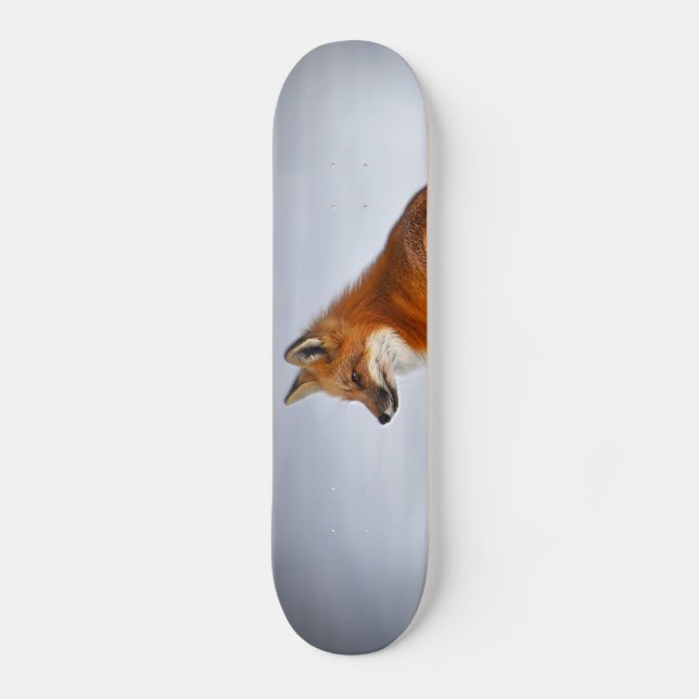 Red Fox in Winter Snow Skateboard (Front)