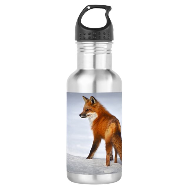 Red Fox in Winter Snow Stainless Steel Water Bottle (Front)