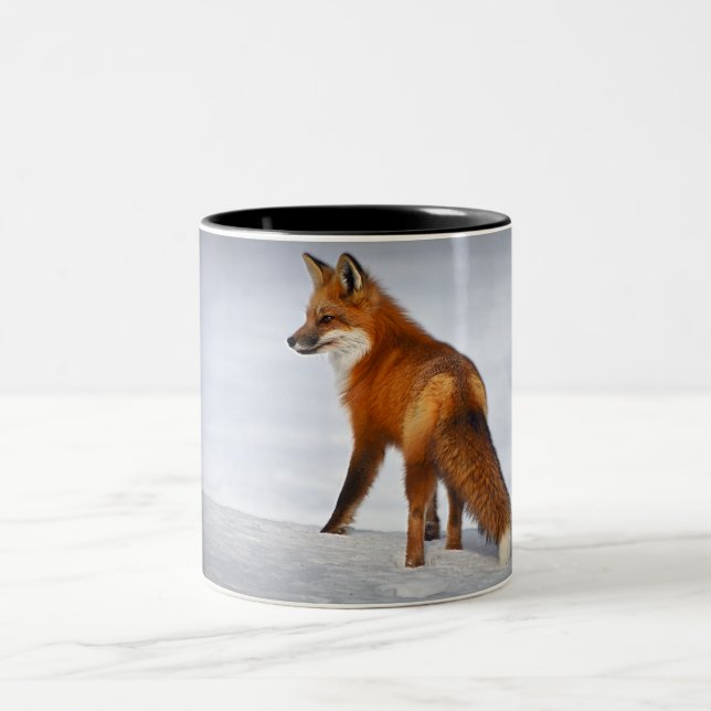 Red Fox in Winter Snow Two-Tone Coffee Mug (Center)