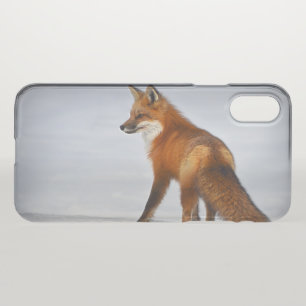 Red Fox in Winter Snow iPhone X Case