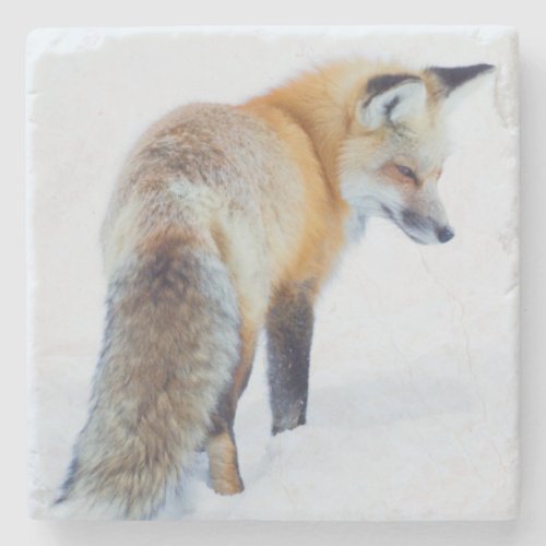 Red Fox in Winter Stone Coaster