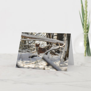 Red fox in winter wood Christmas card